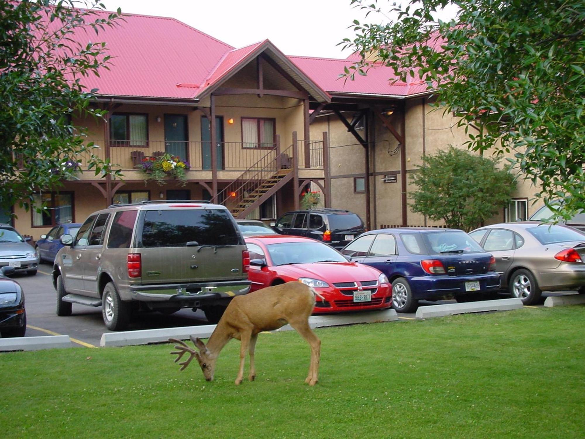 Aspen Village Waterton Park Bagian luar foto